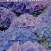 ヒメ日記 2025/06/13 15:08 投稿 さやか 熟女デリヘル秘宝館Z
