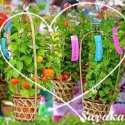 ヒメ日記 2025/07/09 19:53 投稿 さやか 熟女デリヘル秘宝館Z