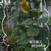 ヒメ日記 2025/07/31 14:43 投稿 さやか 熟女デリヘル秘宝館Z