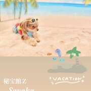 ヒメ日記 2025/08/01 14:20 投稿 さやか 熟女デリヘル秘宝館Z