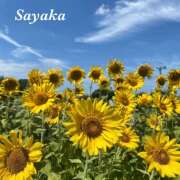 ヒメ日記 2025/08/17 10:03 投稿 さやか 熟女デリヘル秘宝館Z