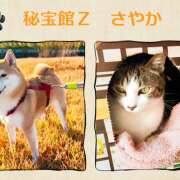 ヒメ日記 2025/12/01 20:59 投稿 さやか 熟女デリヘル秘宝館Z