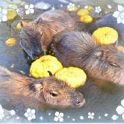 ヒメ日記 2025/12/22 20:33 投稿 さやか 熟女デリヘル秘宝館Z