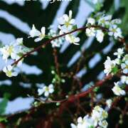 ヒメ日記 2026/02/20 22:26 投稿 さやか 熟女デリヘル秘宝館Z