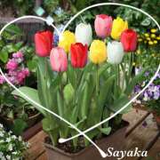 ヒメ日記 2026/02/27 22:23 投稿 さやか 熟女デリヘル秘宝館Z