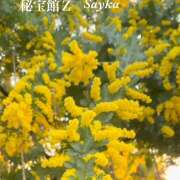 ヒメ日記 2026/03/01 21:34 投稿 さやか 熟女デリヘル秘宝館Z