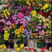 ヒメ日記 2026/03/17 23:06 投稿 さやか 熟女デリヘル秘宝館Z