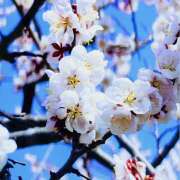 ヒメ日記 2026/03/19 21:12 投稿 さやか 熟女デリヘル秘宝館Z