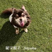 ヒメ日記 2026/03/22 10:53 投稿 さやか 熟女デリヘル秘宝館Z