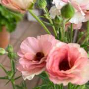 ヒメ日記 2026/03/23 21:38 投稿 さやか 熟女デリヘル秘宝館Z