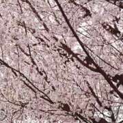 ヒメ日記 2026/04/04 17:33 投稿 さやか 熟女デリヘル秘宝館Z