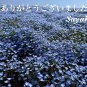 ヒメ日記 2026/04/12 19:00 投稿 さやか 熟女デリヘル秘宝館Z