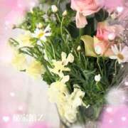 ヒメ日記 2026/04/15 09:02 投稿 さやか 熟女デリヘル秘宝館Z