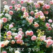 ヒメ日記 2026/05/06 21:07 投稿 さやか 熟女デリヘル秘宝館Z