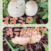 はな この前の🍄 ストロベリーハウス