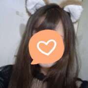 美音 います パイセン