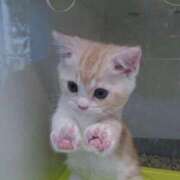 ヒメ日記 2026/03/07 20:24 投稿 美音 パイセン