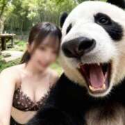 ヒメ日記 2025/11/19 15:23 投稿 みより 2980円