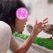 ヒメ日記 2025/09/25 08:24 投稿 橘ゆうき 五十路マダムエクスプレス豊橋店（カサブランカグループ）