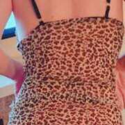 ヒメ日記 2025/11/14 20:52 投稿 橘ゆうき 五十路マダムエクスプレス豊橋店（カサブランカグループ）