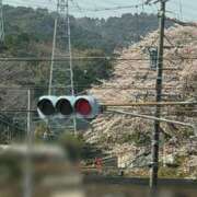 ヒメ日記 2026/03/28 18:14 投稿 橘ゆうき 五十路マダムエクスプレス豊橋店（カサブランカグループ）