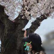 ヒメ日記 2026/03/29 20:02 投稿 橘ゆうき 五十路マダムエクスプレス豊橋店（カサブランカグループ）