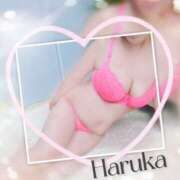 ヒメ日記 2026/02/14 00:59 投稿 池上春香 こあくまな熟女たち 広島店（KOAKUMAグループ）