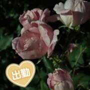 ヒメ日記 2025/05/26 17:01 投稿 ほたる もしも素敵な妻が指輪をはずしたら・・・