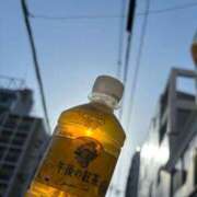 ヒメ日記 2025/04/22 03:16 投稿 ほまれ club さくら日本橋店