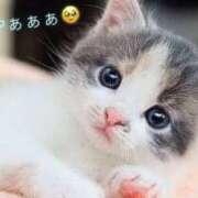 ヒメ日記 2025/09/10 22:16 投稿 ほまれ club さくら日本橋店