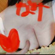 ヒメ日記 2026/06/03 15:39 投稿 なみ 大阪和泉ちゃんこ