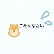 ヒメ日記 2024/12/17 18:41 投稿 みなみ(人妻) THE・TRY