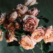 ヒメ日記 2025/03/30 12:15 投稿 さおり 松本人妻隊