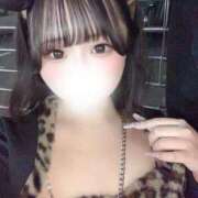 ヒメ日記 2025/11/12 01:53 投稿 えま もみもみワンダーランド