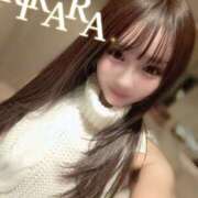 Kirara 初代童〇〇しニット CELEB（セレブ）