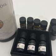 ヒメ日記 2025/02/27 21:29 投稿 はな 完熟ばなな札幌・すすきの