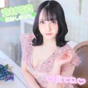 ヒメ日記 2025/12/17 14:07 投稿 ぴあの ハピネス東京