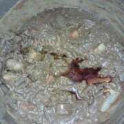 ヒメ日記 2025/04/12 14:01 投稿 いちか 人妻美人館