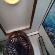 ヒメ日記 2025/06/20 12:31 投稿 いちか 人妻美人館