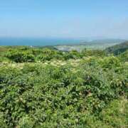 ヒメ日記 2025/08/30 11:20 投稿 いちか 人妻美人館