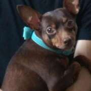 ヒメ日記 2025/10/16 02:50 投稿 いちか 人妻美人館