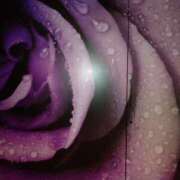 ヒメ日記 2025/10/20 23:44 投稿 いちか 人妻美人館