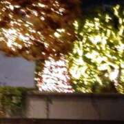 ヒメ日記 2025/11/22 01:36 投稿 いちか 人妻美人館