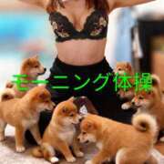 ヒメ日記 2025/11/26 12:06 投稿 いちか 人妻美人館