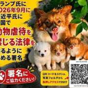 ヒメ日記 2026/08/16 07:09 投稿 いちか 人妻美人館