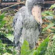 ヒメ日記 2026/04/04 13:53 投稿 八神　ゆな 川崎南町 素敵な奥様（川崎ハレ系）