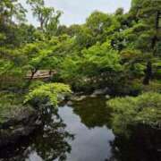 ヒメ日記 2026/04/30 14:14 投稿 八神　ゆな 川崎南町 素敵な奥様（川崎ハレ系）