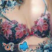 ヒメ日記 2025/10/02 19:12 投稿 せれな ハニーズLOVE ST