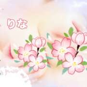 ヒメ日記 2025/07/02 14:17 投稿 りな 人妻美人館