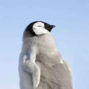 ヒメ日記 2025/07/06 10:37 投稿 ゆうか 西川口マーメイド